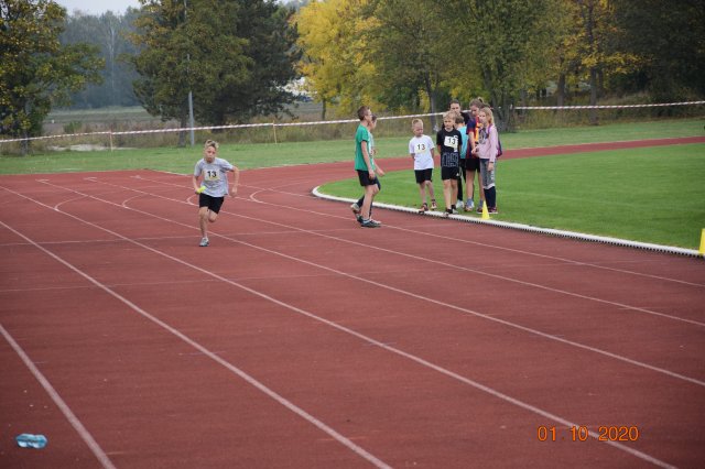 biegip 15